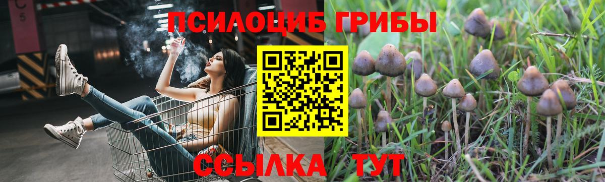 Галлюциногенные грибы Psilocybine cubensis Амурск